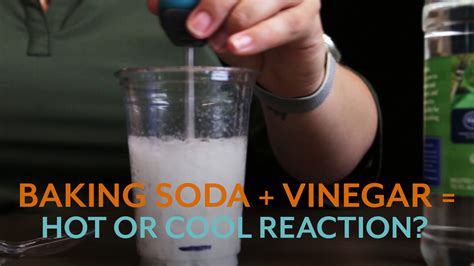 Vinegar and Baking Soda Reaction: Heat Up or Cool Down? - Vernier