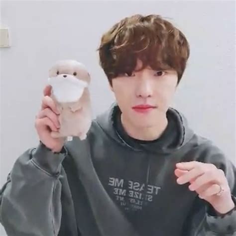 𝗳𝗳𝗮𝗵𝗸𝘆𝘂𝗻シ on Twitter: "RT @sounds_of_cheol: jeonghan gave dino an otter ...