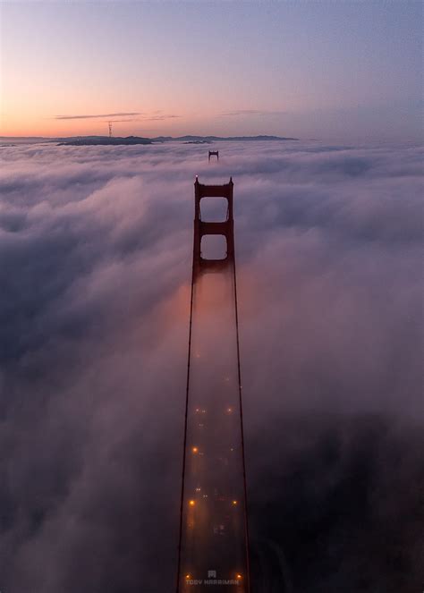 Golden Gate Bridge Aerial Fog Sunrise - Toby Harriman