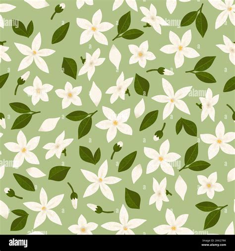 346 Wallpaper Jasmine Flower free Download - MyWeb