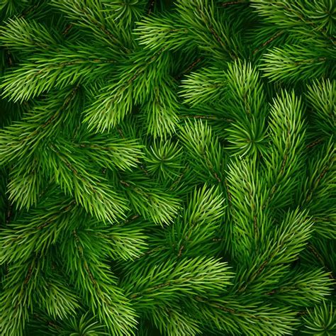 Christmas tree pattern seamless vectors 01 free download