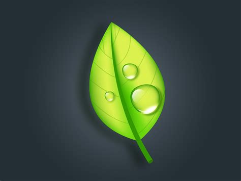 Leaf Drop. Adobe Illustrator Tutorial by Elena Baryshkina on Dribbble