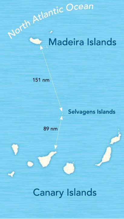 Ilhas Selvagens – Selvagens Islands or Savage Islands. - Ocean Retreat