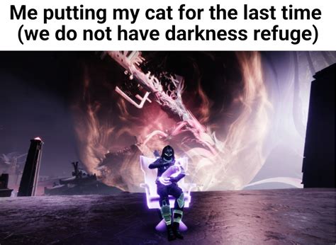 My cat :( : r/destiny2