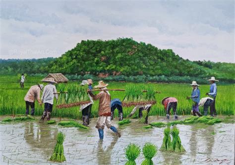 Beautiful Rice Paddy Painting For Sale | Royal Thai Art