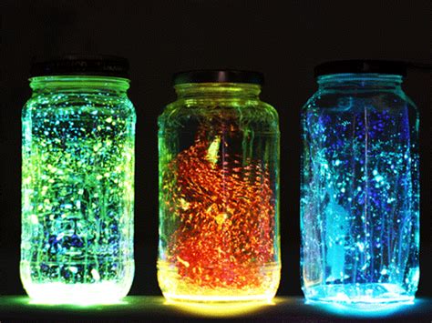 10 Interesting Facts about Fireflies | 10 Interesting Facts