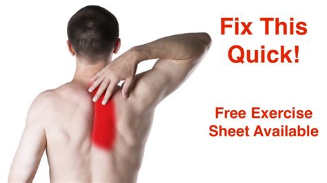 Fix Pain Between Shoulder Blades (FREE Exercise Sheet!) - YouTube