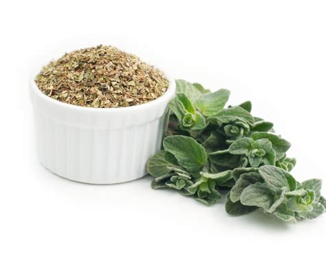 Top 11 Substitutes For Oregano To Check Out