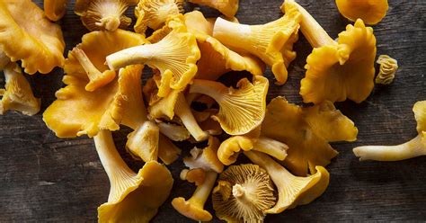 Chanterelle Mushrooms: Nutrients, Benefits, and Recipe