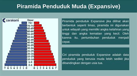 5 PIRAMIDA PENDUDUK INDONESIA: Pengertian, Fungsi, Jenis & Gambar