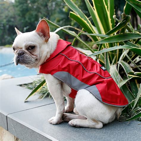 Top 10 Waterproof Dog Coats to Keep Your Buddy Dry | The Dog People by Rover.com