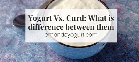 Yogurt Vs. Curd [2023] - What is the Difference Between Them?