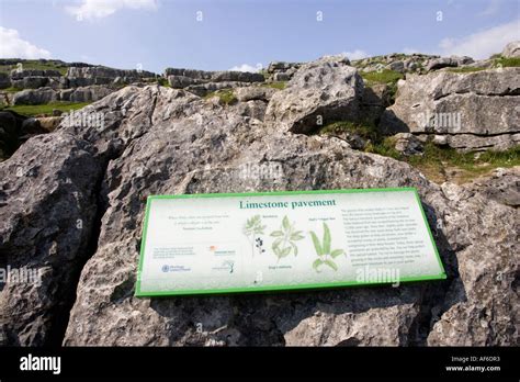 Limestone acid rain hi-res stock photography and images - Alamy