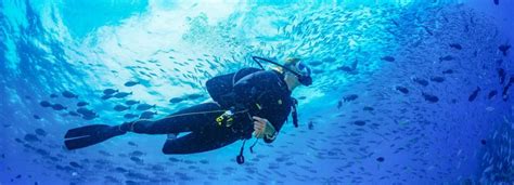 Bali Diving | GetYourGuide Supplier