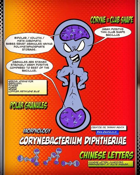 Morphology of Corynebacterium diphtheriae: Qworld Medical comics ️ Created by: Dr. Tanmay Mehta ...