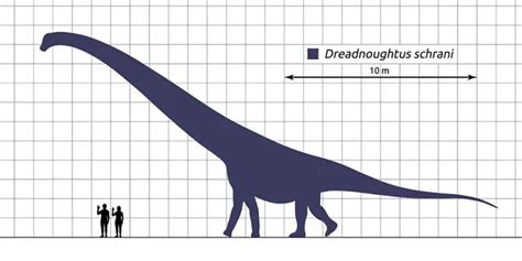 Dreadnoughtus Dinosaur Facts for Kids