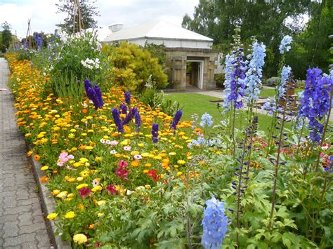 Witchwae Goes to Tassie: Hobart Botanical Gardens