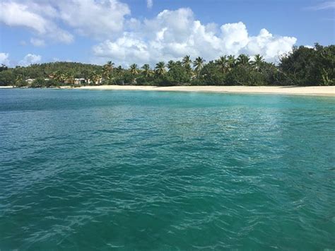 Caneel Bay Beach - 2020 All You Need to Know BEFORE You Go (with Photos) - TripAdvisor