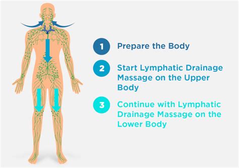 Revitalize Your Health: Lymphatic Drainage Massage Benefits