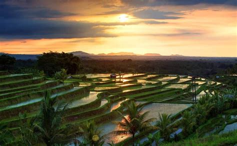 Que faire à Bali ? Mes 20 activités coups de coeur pour visiter Bali