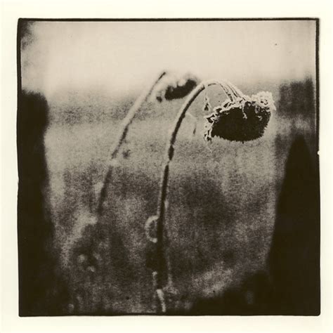 Lith Printing on Behance