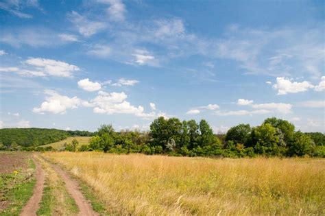 Premium Photo | Rural landscape