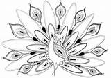 Free Printable Peacock Coloring Pages For Kids sketch template