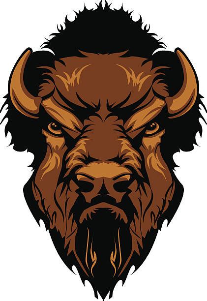 Top 60 Bison Clip Art, Vector Graphics and Illustrations - iStock