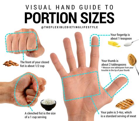 Visual Hand Guide to Portion Sizes – Zach Rocheleau – Medium