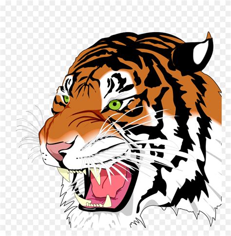 Tiger Roar Cartoon Drawing - Roar Clipart - FlyClipart