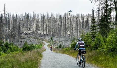 Europe is Turning the Iron Curtain Into a Cycling Path to Boost Bike Tourism and Promote Peace