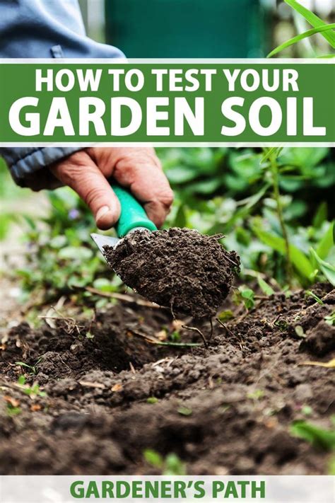 How to Test Soil in the Home Garden | Gardener’s Path