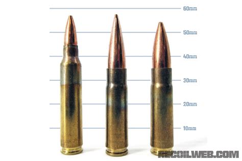 5.56 NATO vs 223 Rem vs 223 Wylde: Pros, Cons, And Dangers | RECOIL