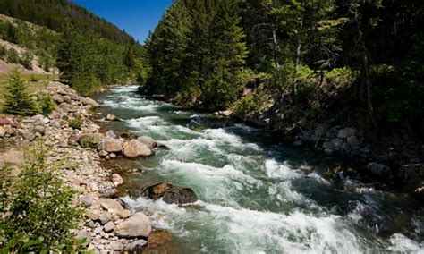 Flathead National Forest in Montana - AllTrips