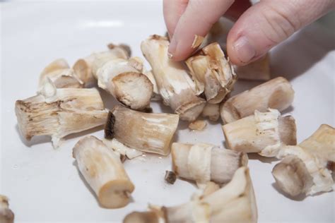 Can You Eat Mushroom Stems? How to Cook With Them | GroCycle