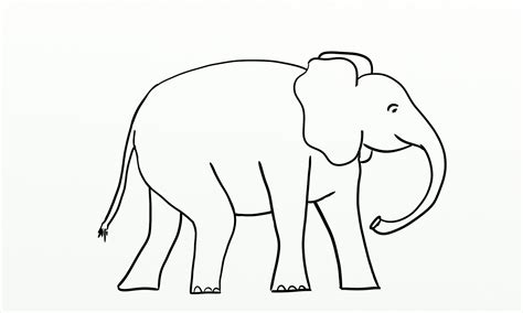 Elephant Outline - 6 Free PDF Printables | Printablee