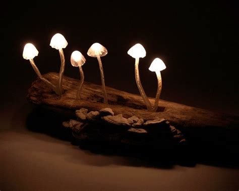 Outdoor Mushroom Lights - Outdoor Lighting Ideas