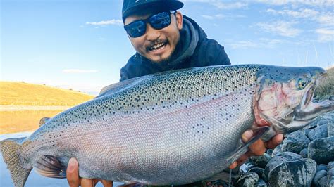 HUGE RAINBOW TROUT in New Zealand - YouTube