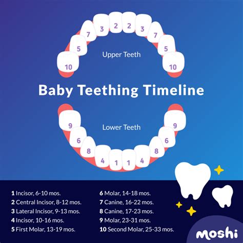 How Long Does Teething Last? A Timeline For Parents - Moshi