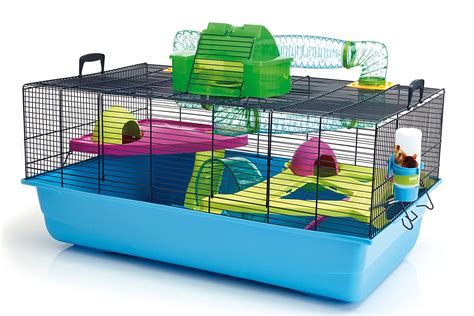 The Benefits Of A Terrarium For Hamsters – Craftsmumship