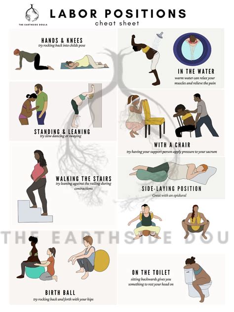 Labor Positions Infographic for Birth Workers COMMERCIAL USE Doula ...