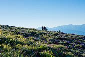 Free picture: daylight, field, hills, landscape, people, plant, tree ...