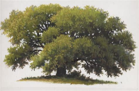 How to Paint a Tree | Hagerman Art Blog by Artist William "Byron" Hagerman