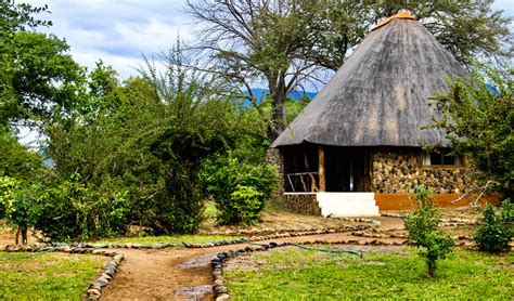 Gallery | Lower Zambezi Lodge