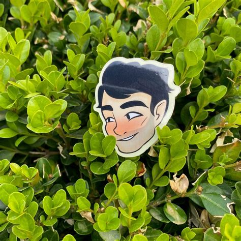 Stardew Valley Shane Sticker - Etsy