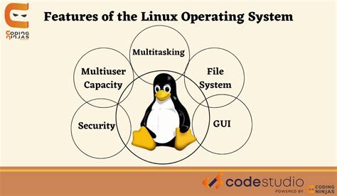 Features of Linux Operating System - Coding Ninjas