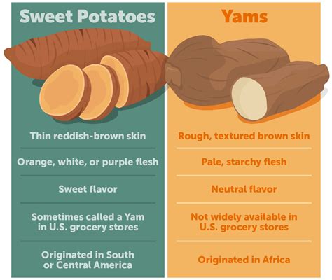 Sweet Potato vs Yam: What's the Difference? | Yams vs sweet potatoes, Yellow sweet potato, Paleo ...