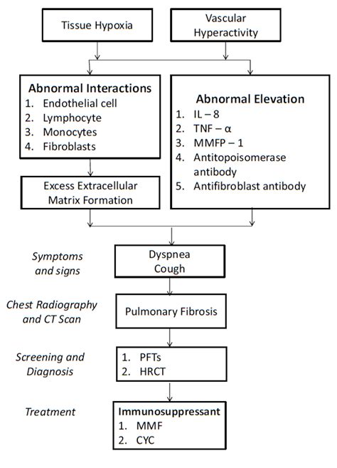 Cureus | Systemic Sclerosis: Highlighting Respiratory Complications and ...