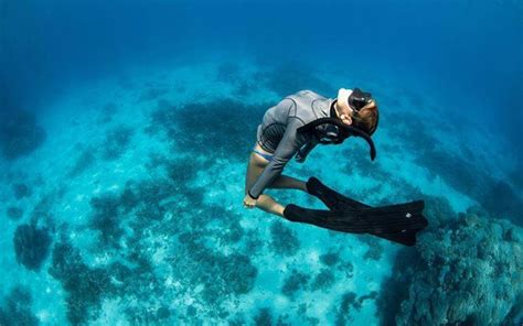 The incredible art of freediving | RNZ