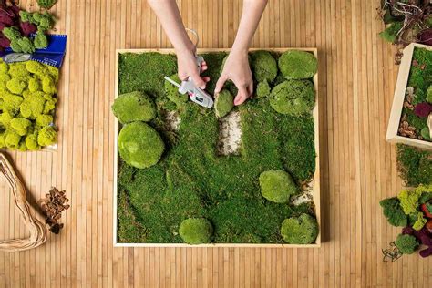How To Do Moss Wall Art | Storables